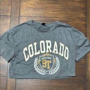 SHEIN Gray Crop Top with Colorado Graphic